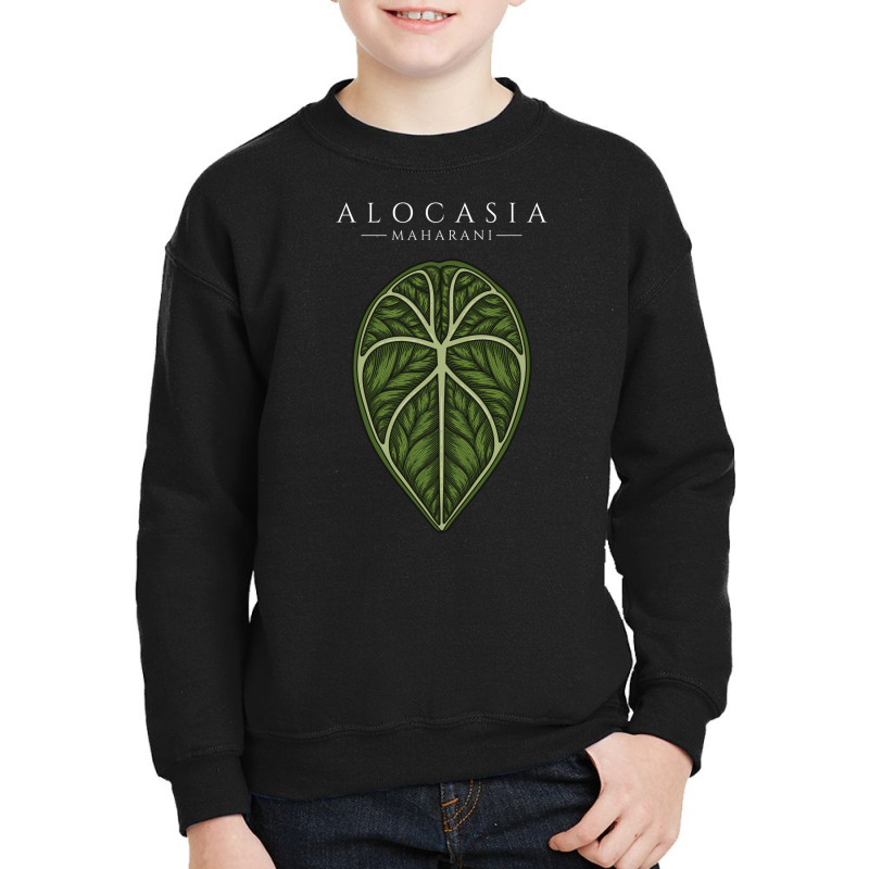 Alocasia Maharani Aroid Plant Lover Anthurium Philodendron Monstera Youth Sweatshirt by dovieavila | Artistshot