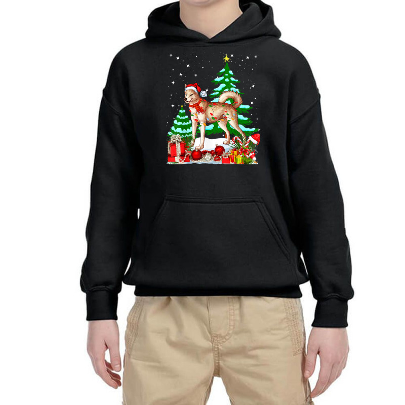 Funny Canaan Dog Christmas Xmas Cute Youth Hoodie by Color | Artistshot