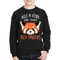 Red Panda Plushie Red Panda Tail Cute Red Panda Stuffed Toy T Shirt Youth Sweatshirt | Artistshot