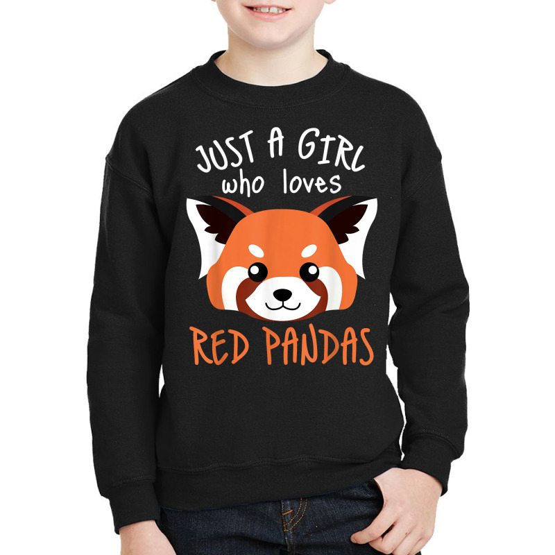 Red Panda Plushie Red Panda Tail Cute Red Panda Stuffed Toy T Shirt Youth Sweatshirt by cm-arts | Artistshot