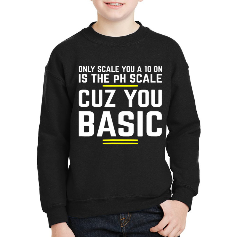 Only Scale You 10 On Is Ph Scale (basic) Science Youth Sweatshirt | Artistshot