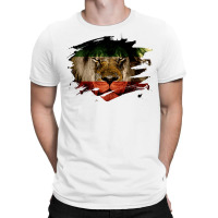 Persia Flag & African Lion Picture   Persian Pride Pullover Hoodie T-shirt | Artistshot