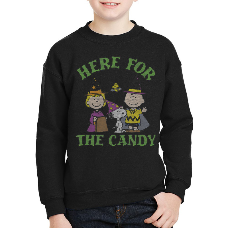 Peanuts Halloween Charlie Sally Here For The Candy Youth Sweatshirt by cm-arts | Artistshot