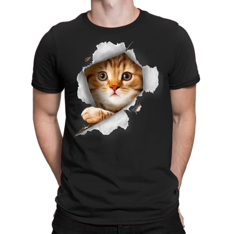 Ca, Orange Cat T Cat Torn Cloth Kitten T-shirt | Artistshot