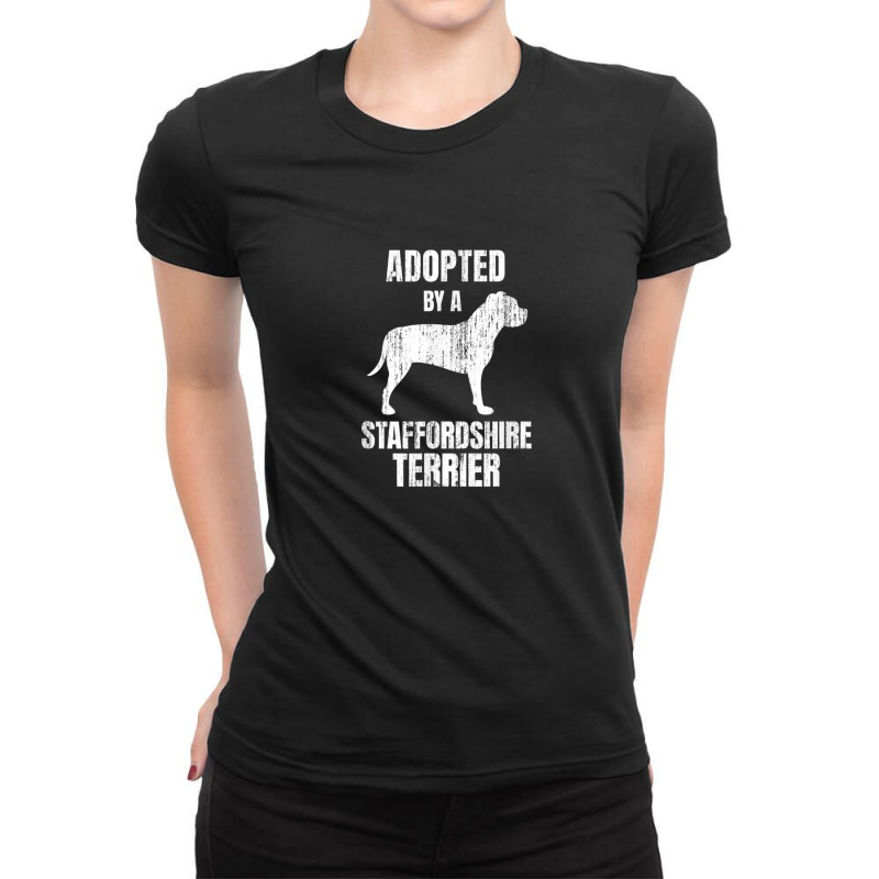 American Staffordshire Terrier 1 Ladies Fitted T-Shirt by FrankJohnson | Artistshot