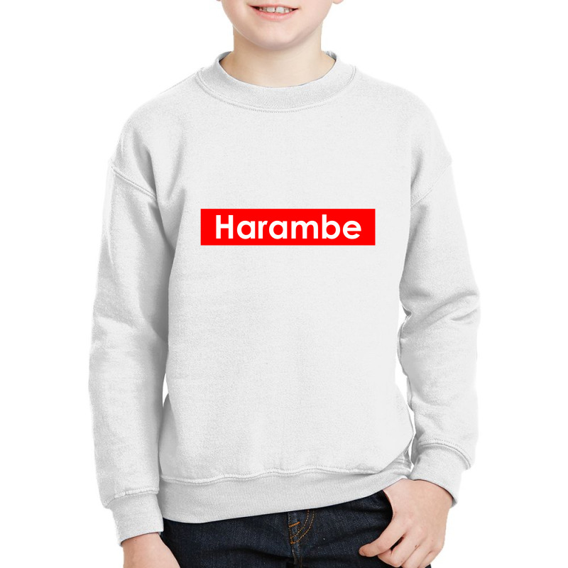 Harambe Youth Sweatshirt | Artistshot