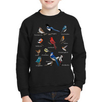 Garden Birds Cardinal Blue Jay Hummingbird Robin Wren Finch Youth Sweatshirt | Artistshot