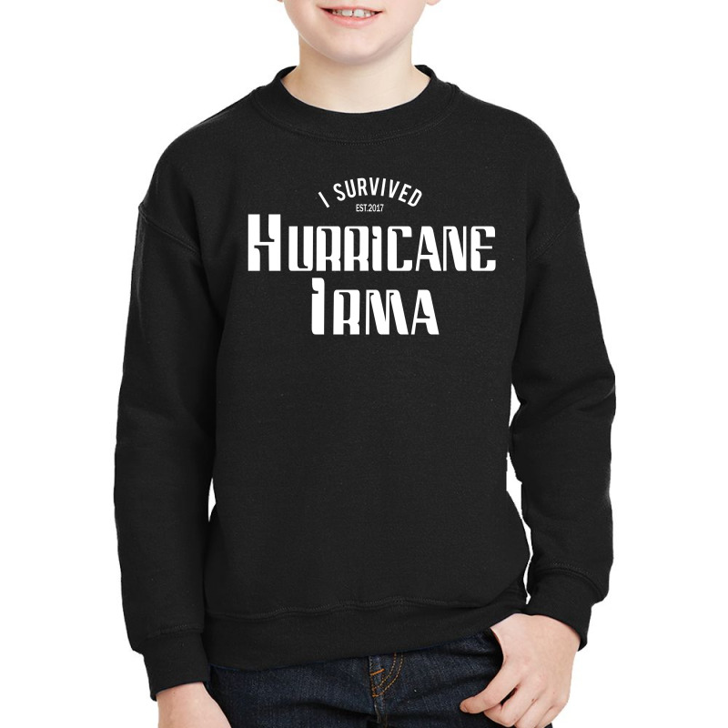 I Survived Hurricane Irma Youth Sweatshirt | Artistshot