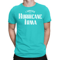 I Survived Hurricane Irma T-shirt | Artistshot