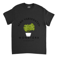 Albo Variegated Monstera Aficionado Classic T-shirt | Artistshot