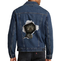 Cat Shirt, Gray Cat Tshirt, Cat Torn Cloth Shirt, Kitten Men Denim Jacket | Artistshot