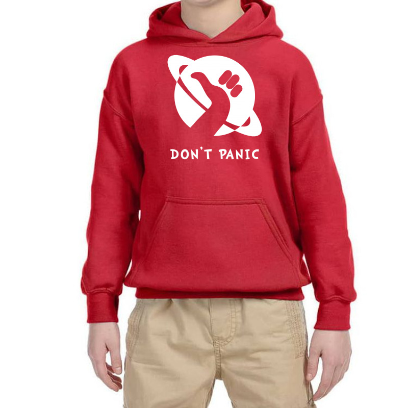 Space Dont Panic Youth Hoodie | Artistshot