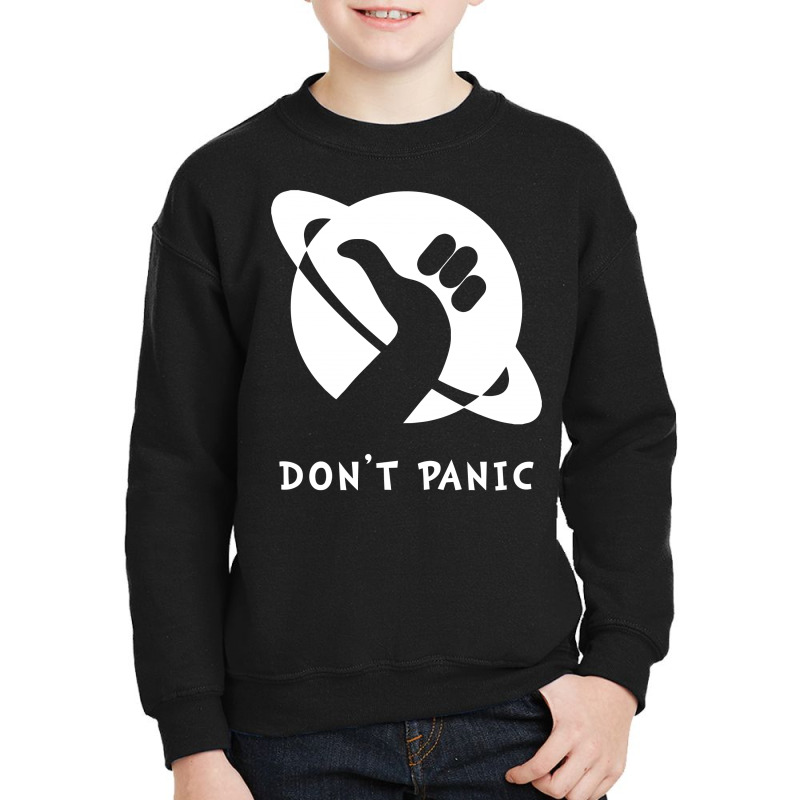 Space Dont Panic Youth Sweatshirt | Artistshot