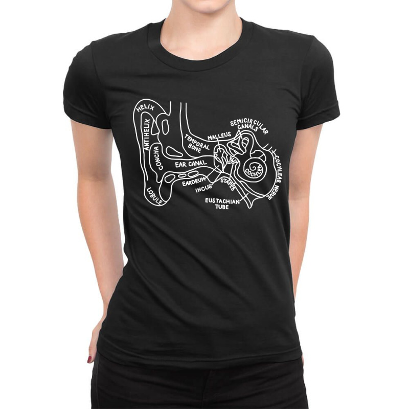 Inner Ear Audiology Audiologist Vestibular Therapist Medical Ladies Fitted T-Shirt by JoolsShamel | Artistshot