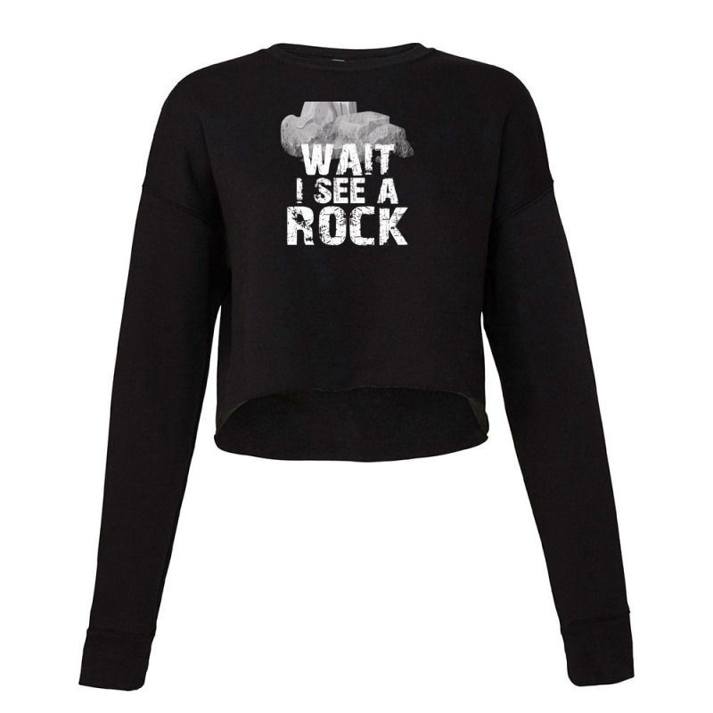 Wait I See A Rock For A Geologist Rock Mineral 1 Cropped Sweater by RebekahShinn | Artistshot