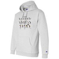 Meet The Pterosaurs For Boyfriend Champion Hoodie | Artistshot