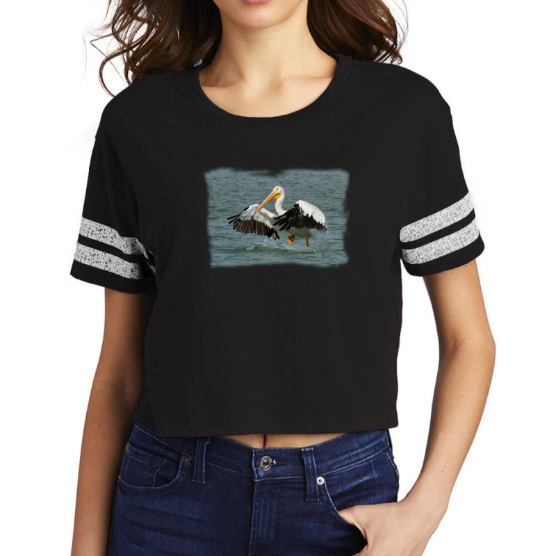 Pelican Landing In Water Scorecard Crop Tee | Artistshot