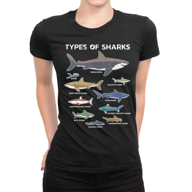 9 Types Of Sharks Educational Colorful Ocean Ladies Fitted T-Shirt by cm-arts | Artistshot