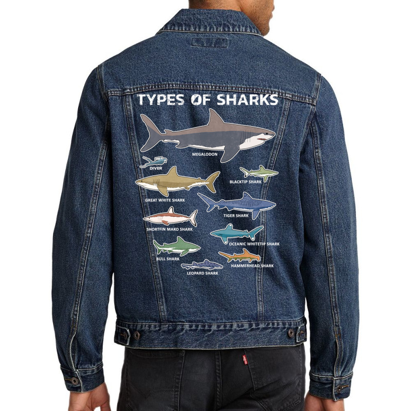 9 Types Of Sharks Educational Colorful Ocean Men Denim Jacket | Artistshot