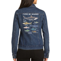 9 Types Of Sharks Educational Colorful Ocean Ladies Denim Jacket | Artistshot