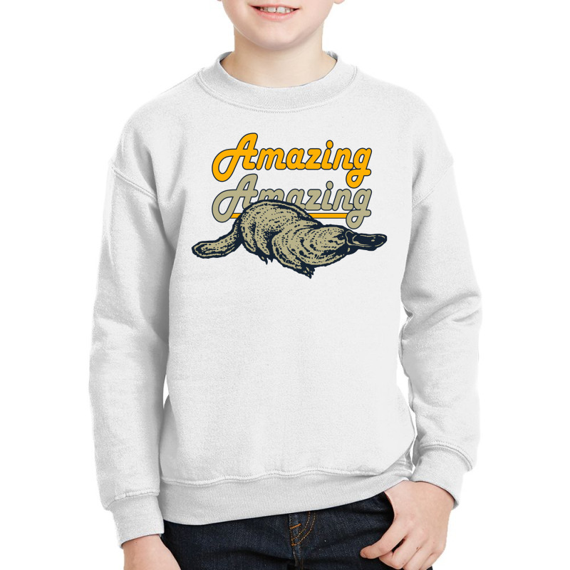 Amazing Australia Youth Sweatshirt | Artistshot