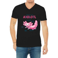 Anatomy Of The Axolotl V-neck Tee | Artistshot