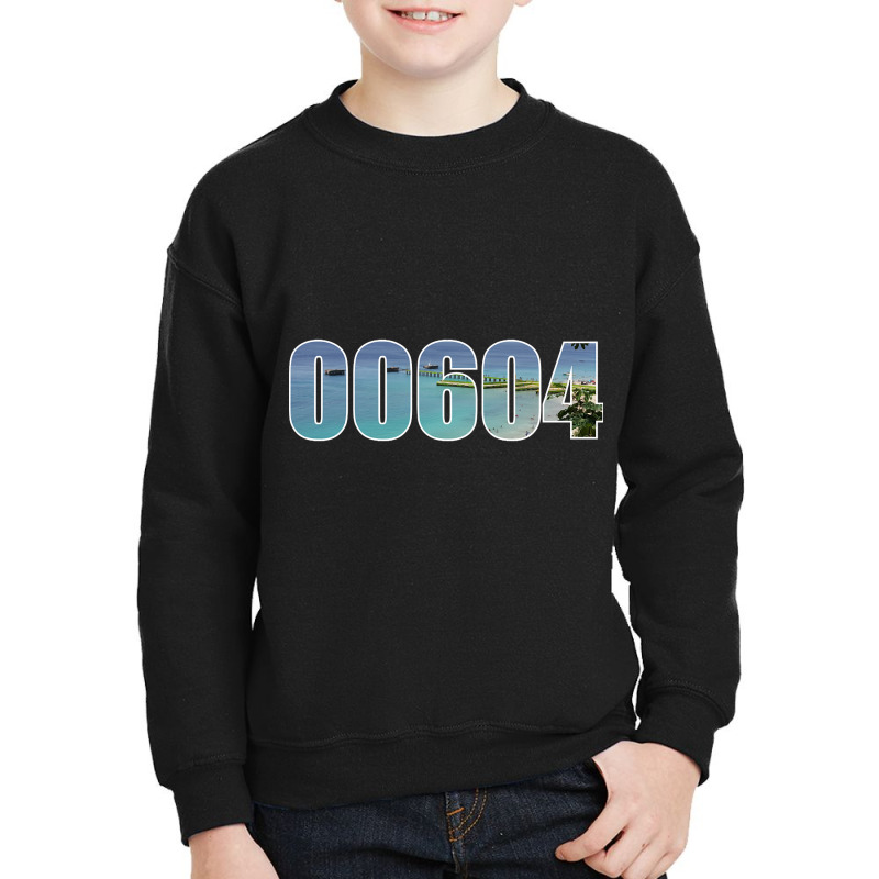 Aguadilla 00604 Zip Code Youth Sweatshirt | Artistshot