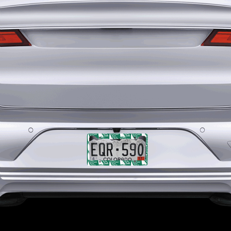 You Can't Control Wind But Adjust The Sails License Plate Frame | Artistshot