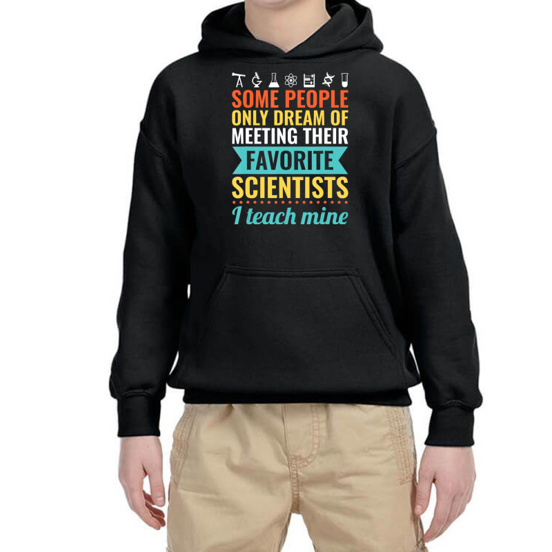 Science Teacher Teach Biology Chemistry Physics Youth Hoodie | Artistshot