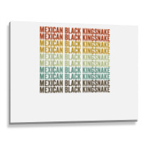 Mexican Black Kingsnake Retro T Shirt Metal Print Horizontal | Artistshot