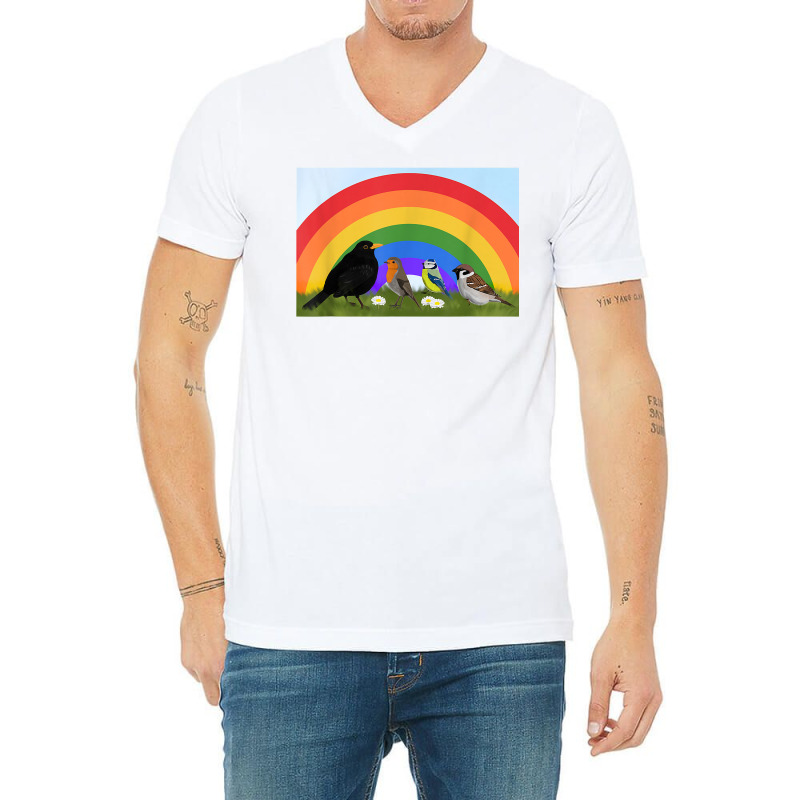 Blackbird Robin Rainbow Bird Birdlover Birdwatcher Biologist T Shirt V-Neck Tee by cm-arts | Artistshot