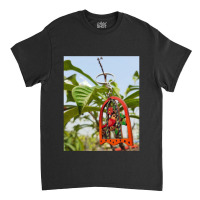 Bird In A Cage Singing The Natures Song Classic T-shirt | Artistshot