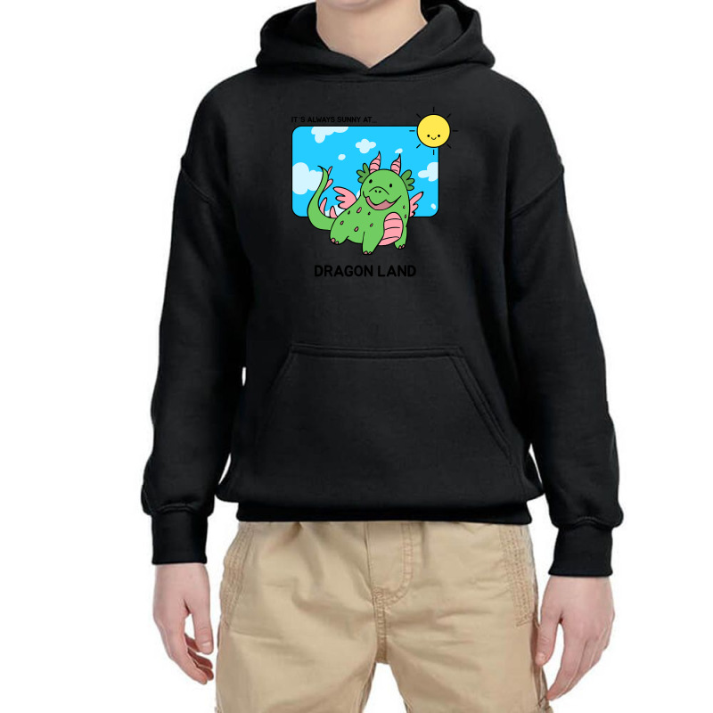 It's Always Sunny At Dragon Land Design Youth Hoodie by Kenlofu52 | Artistshot