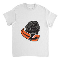 Lewis & Clark College Pioneers Classic T-shirt | Artistshot