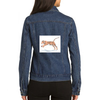 Magic Novels Jumping Tiger Ladies Denim Jacket | Artistshot