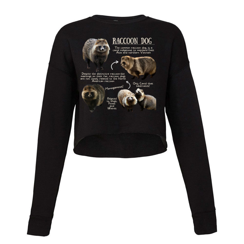 Animal Facts - Raccoon Dog Cropped Sweater by Kenlofu52 | Artistshot