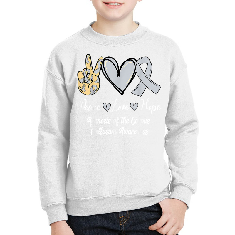 Agenesis Of The Corpus Callosum Acc Love Hope Silver Ribbon T Shirt Youth Sweatshirt by cm-arts | Artistshot