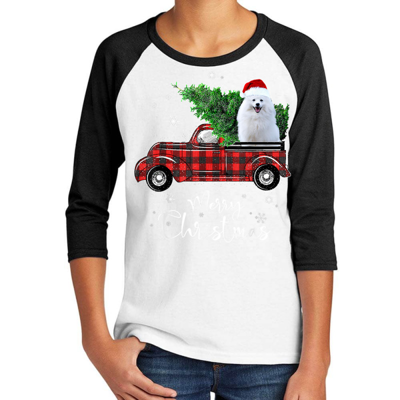 American Eskimo Red Truck Christmas Funny Dog T Shirt Youth 3/4 Sleeve by cm-arts | Artistshot