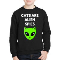 Cats Are Alien Spies And Kids Youth Sweatshirt | Artistshot