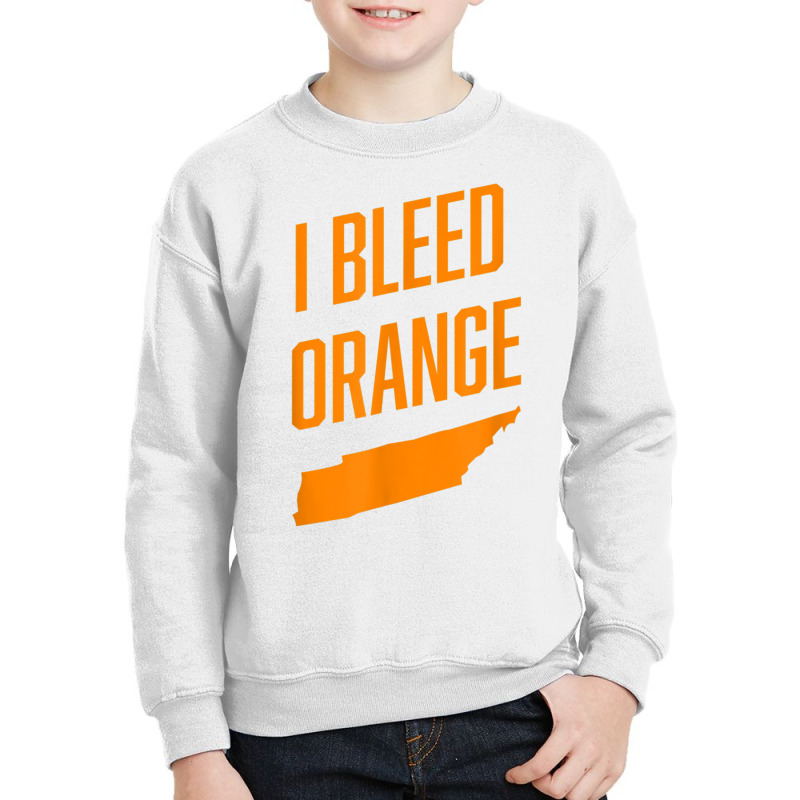 Tennessee Shirts  I Bleed Orange Tn Pride State Shirt T Shirt Youth Sweatshirt by cm-arts | Artistshot