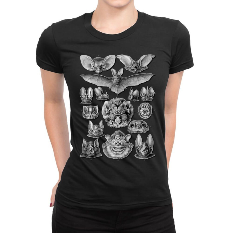 Bats Scientific Illustration Drawing Biology Art Halloween Ladies Fitted T-Shirt by behindcedar22 | Artistshot