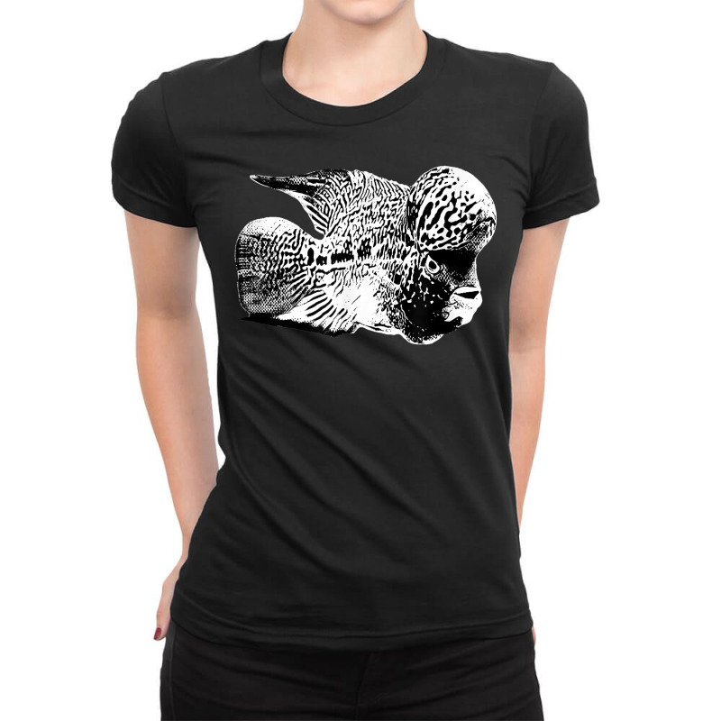 Flowerhorn Cichlid Aggressive Aquarium Fish Tank Breeders T Shirt Ladies Fitted T-Shirt by cm-arts | Artistshot