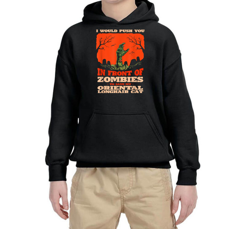 10548100070^push You In Zombies To Save My Oriental Longhair T Shirt Youth Hoodie | Artistshot