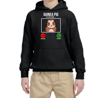 Guinea Pig Is Calling Guine Pig Lover Pig Owner Animals T Shirt Youth Hoodie | Artistshot