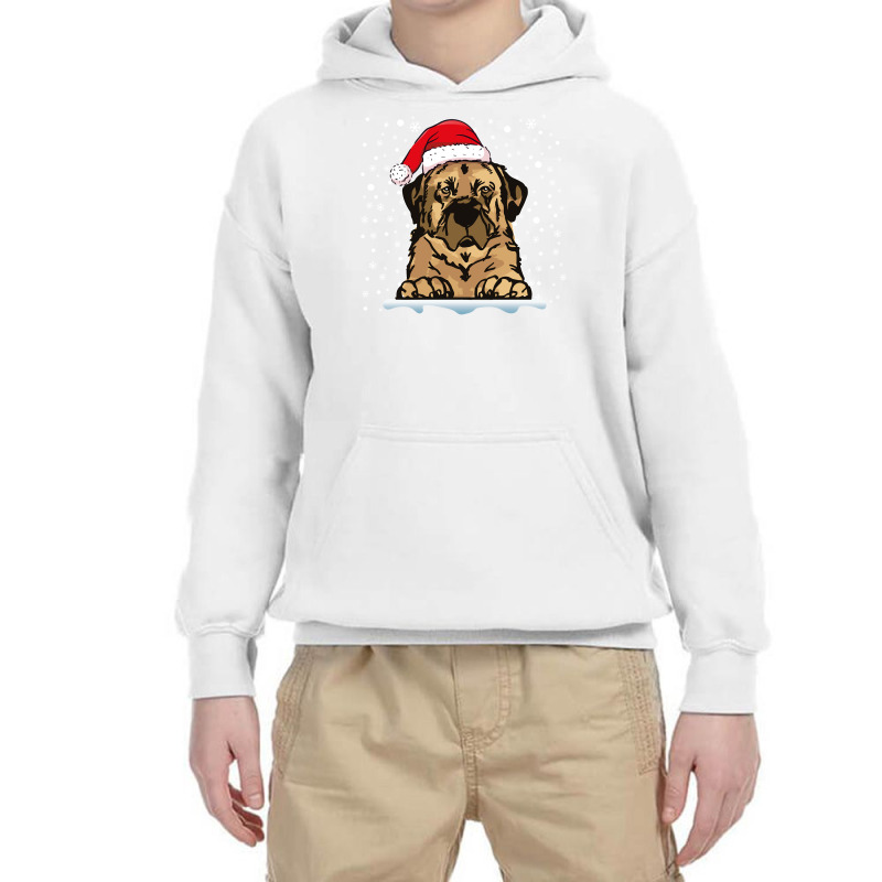 Anatolian Shepherd Dog Christmas Santa Hat Matching Family Long Sleeve Youth Hoodie by cm-arts | Artistshot