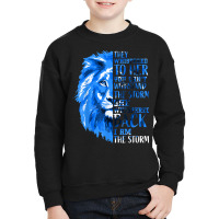 I'm The Storm Strong Women Type 1 Diabetes Warrior Blue Lion Youth Sweatshirt | Artistshot