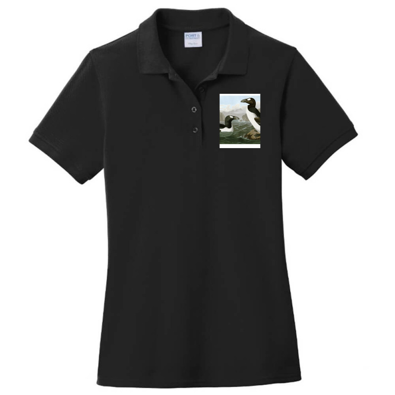 Seabirds - John James Audubon Ladies Polo Shirt by CrystalHayes | Artistshot