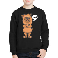 Petit Brabanon T  Shirt Brussels Griffon Bruxellois Dog Gift T  Shirt Youth Sweatshirt | Artistshot