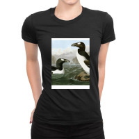 Seabirds - John James Audubon Ladies Fitted T-shirt | Artistshot