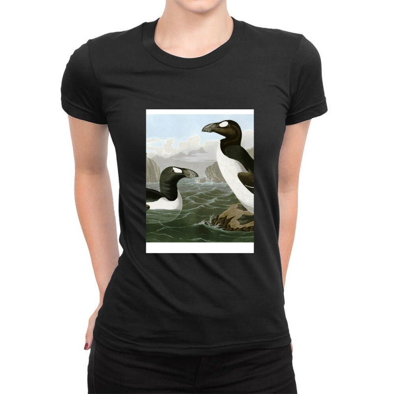 Seabirds - John James Audubon Ladies Fitted T-Shirt by JamesTrichell | Artistshot